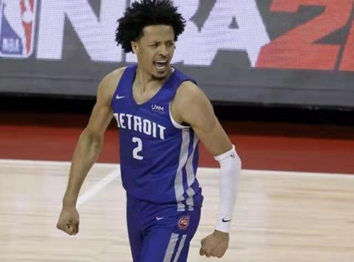 术多样性 术多样性